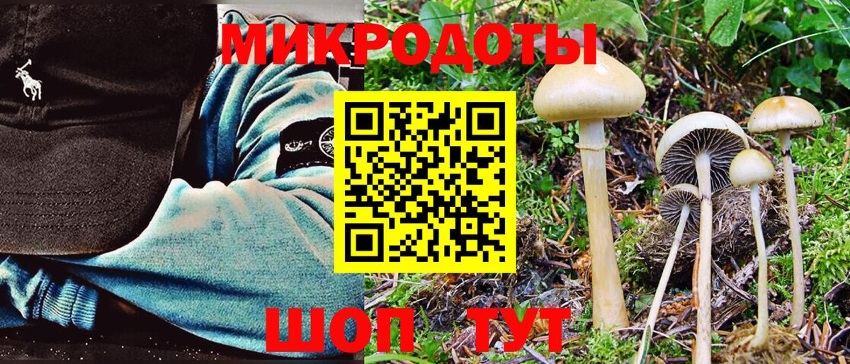 Галлюциногенные грибы Psilocybe Красный Сулин